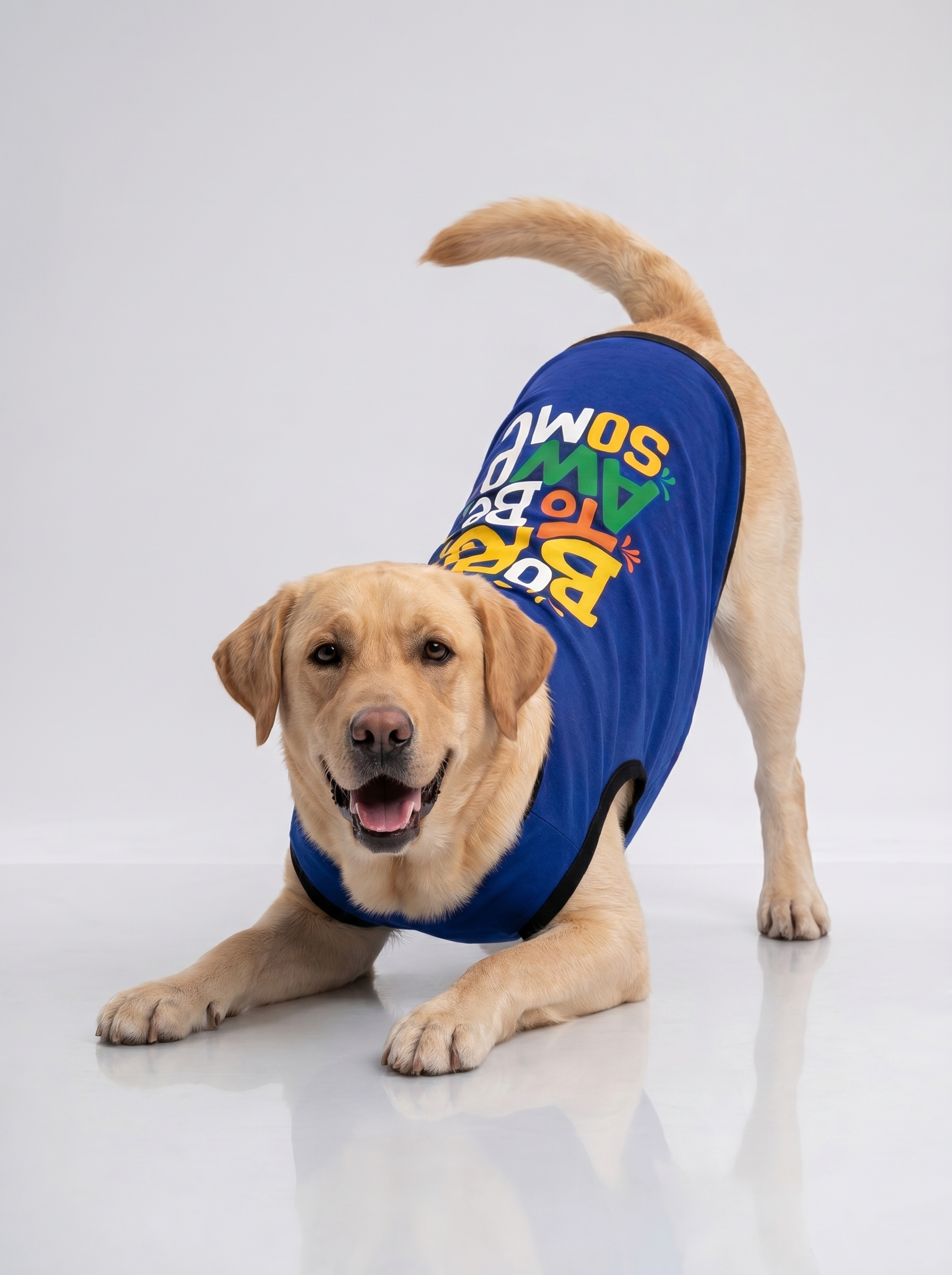 Careatic™ Born to Be Awesome Blue T-shirt for Labrador Retrievers - CAREATIC