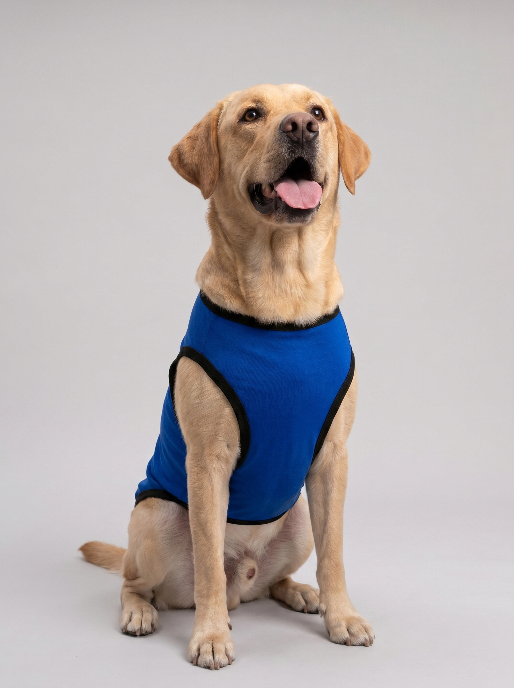 Careatic™ Born to Be Awesome Blue T-shirt for Labrador Retrievers - CAREATIC