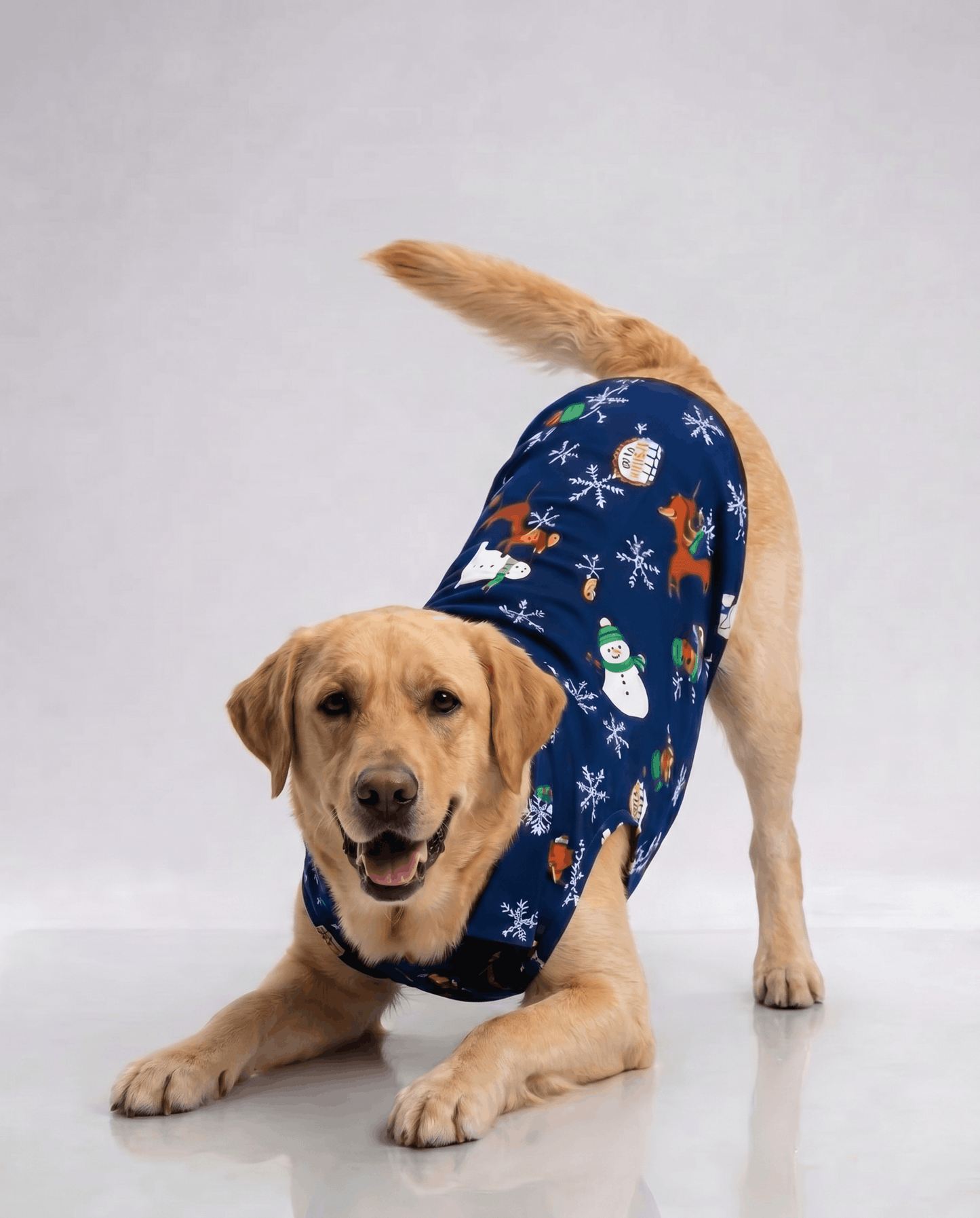 Careatic™ Snowie Navy Shirt for Labrador Retrievers - CAREATIC