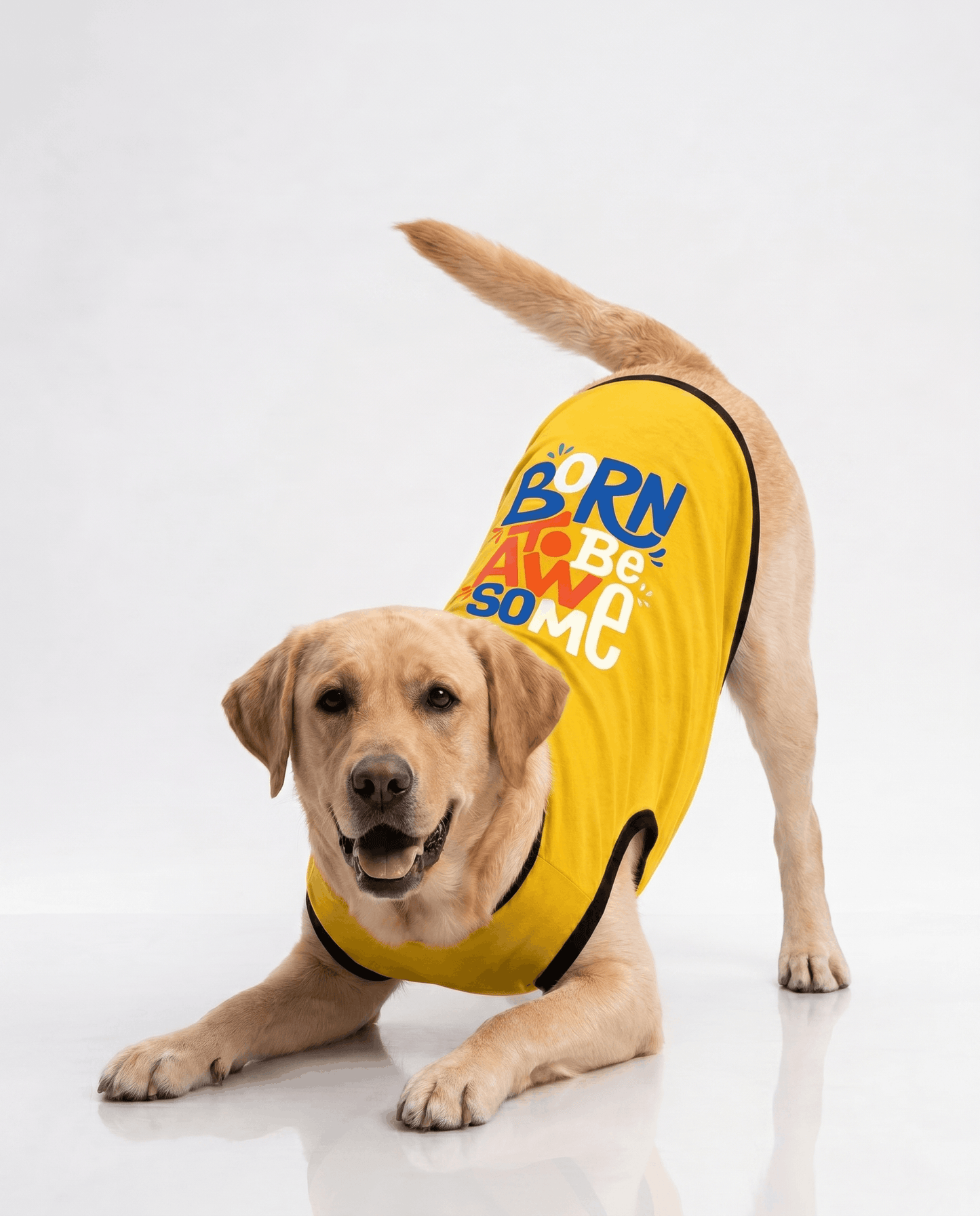 Careatic™ Born to Be Awesome Yellow T-shirt for Labrador Retrievers - CAREATIC