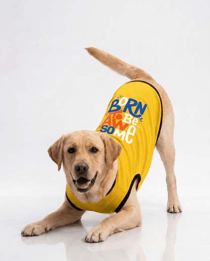 Careatic™ Born to Be Awesome Yellow T-shirt for Labrador Retrievers - CAREATIC