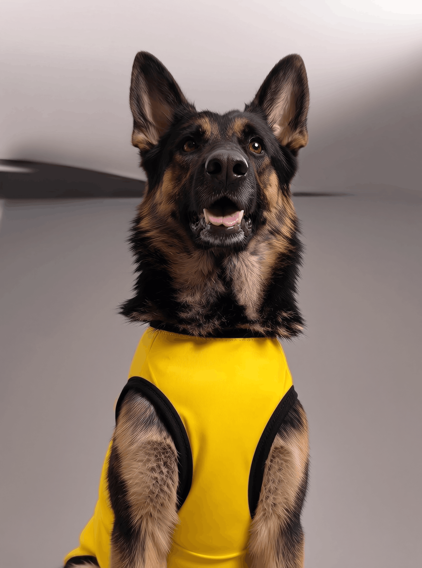 Careatic™ Born to Be Awesome Yellow T-shirt for German Shepherd - CAREATIC