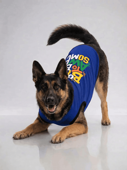 Careatic™ Born to Be Awesome Blue T-shirt for German Shepherd - CAREATIC