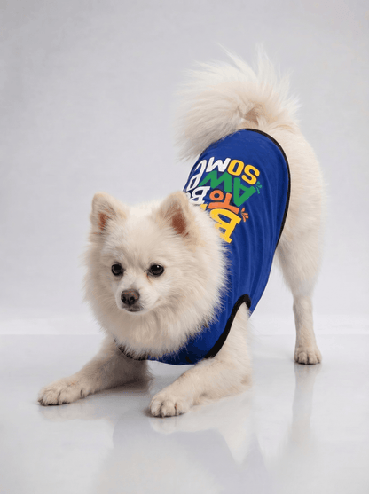 Careatic™ Born to Be Awesome Blue T-shirt for Pomeranian - CAREATIC