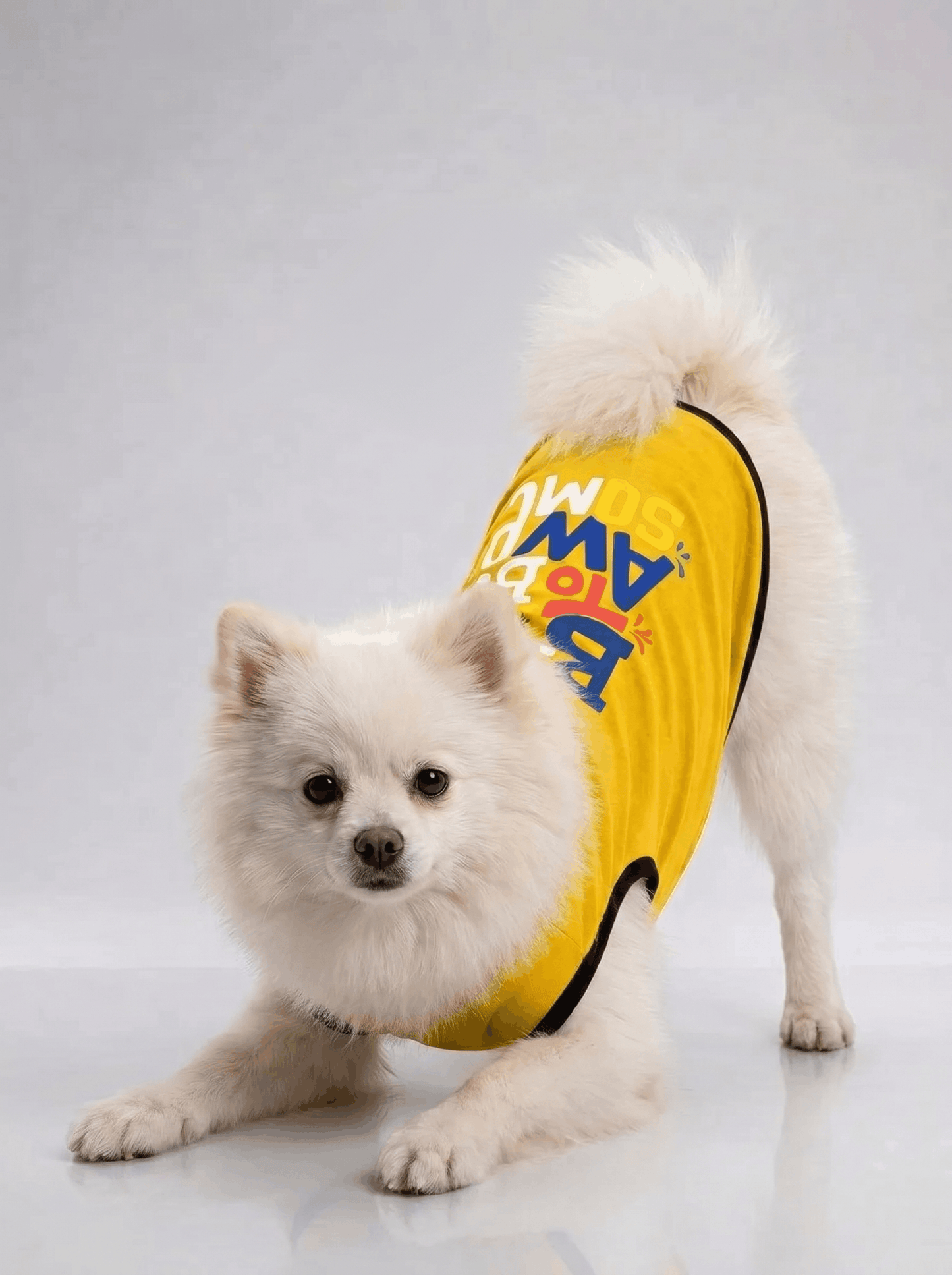 Careatic™ Born to Be Awesome Yellow T-shirt for Pomeranian - CAREATIC