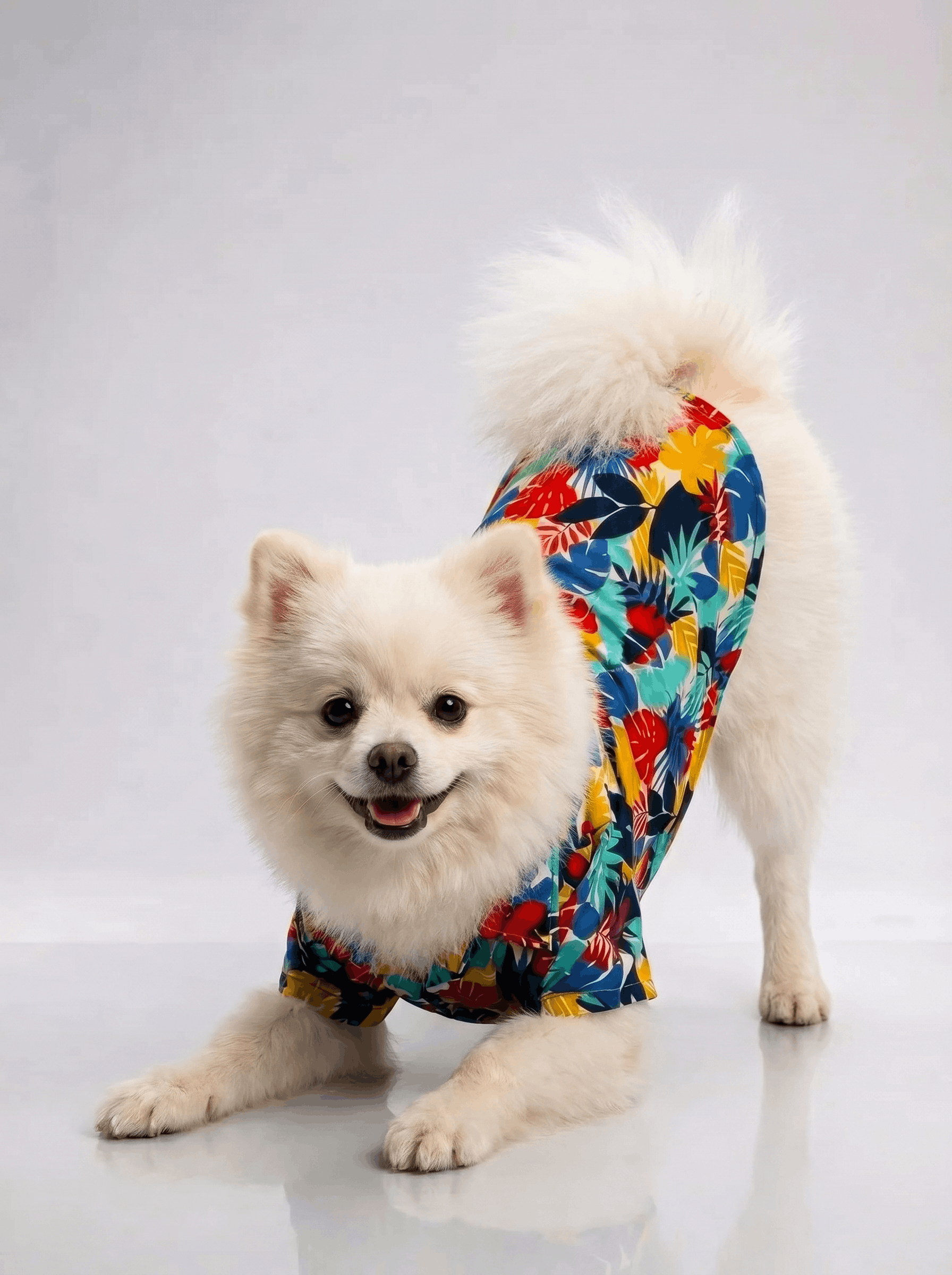 Careatic™ Goa Vibes Shirt for Pomeranian - CAREATIC