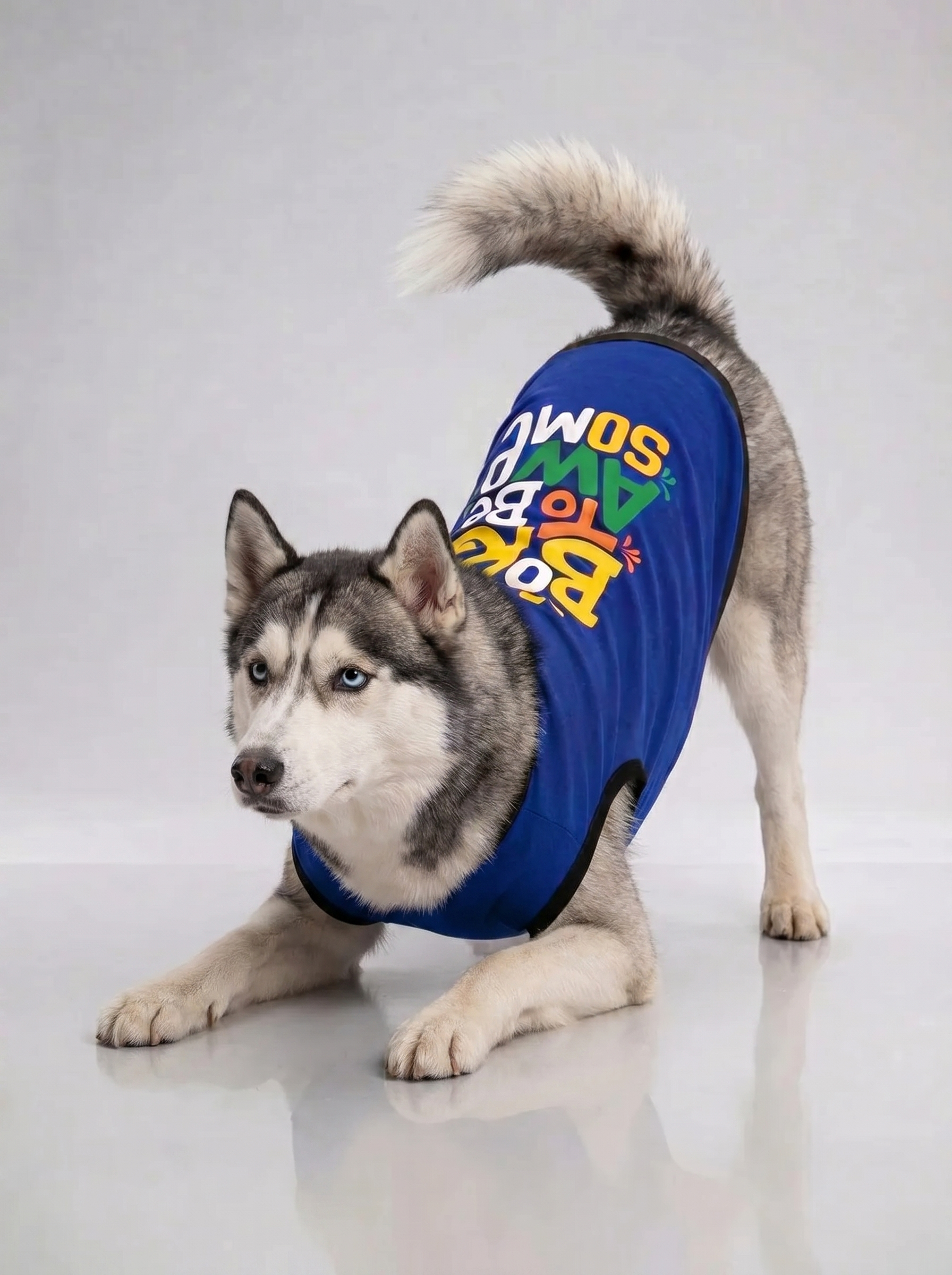 Careatic™ Born to Be Awesome Blue T-shirt for Husky - CAREATIC