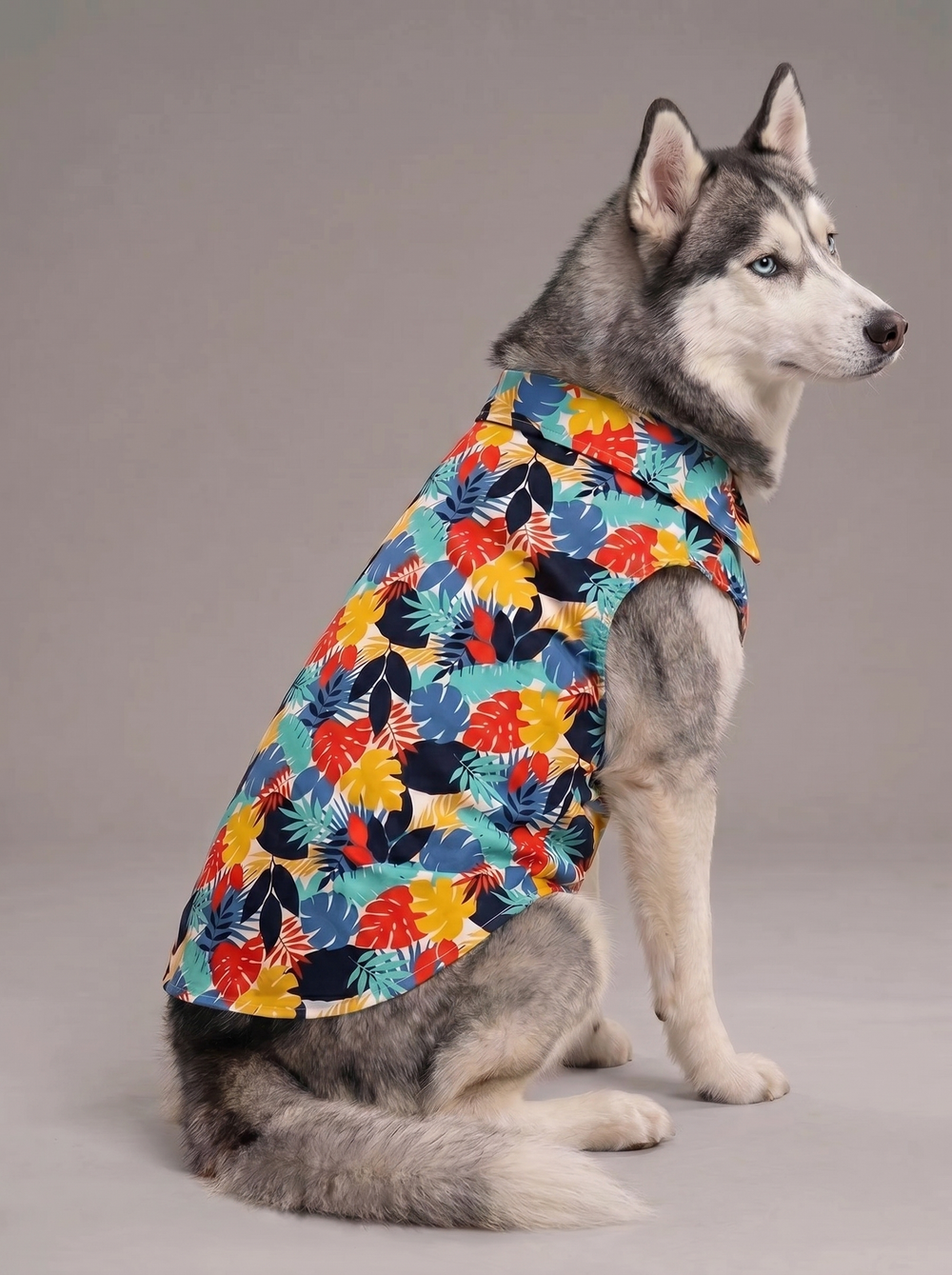 Siberian Husky wearing the Careatic Goa Vibes dog shirt