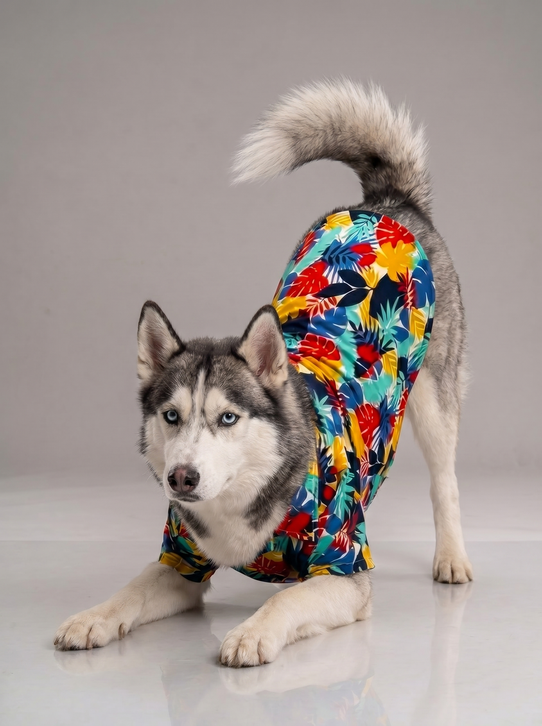 Careatic™ Goa Vibes Shirt for HUSKY - CAREATIC