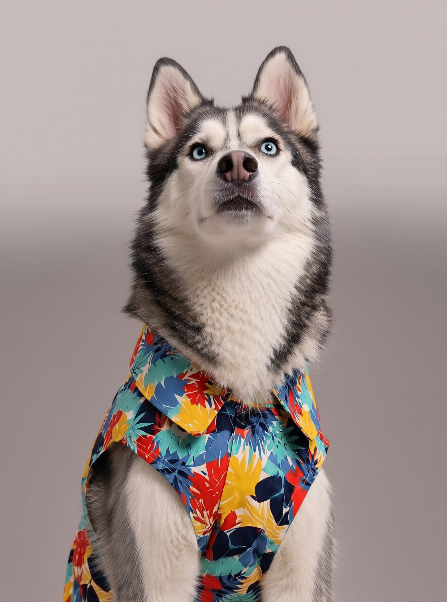 Careatic™ Goa Vibes Shirt for HUSKY - CAREATIC