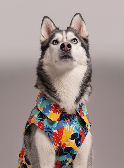 Careatic™ Goa Vibes Shirt for HUSKY - CAREATIC