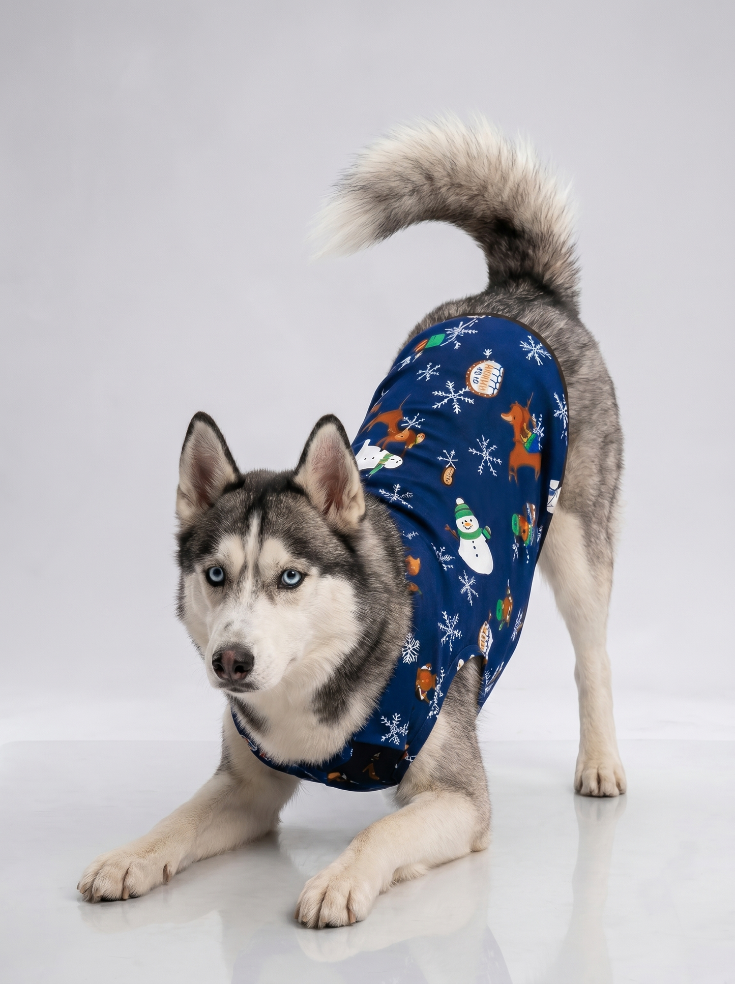 Careatic™ Snowie Navy Shirt for Husky - CAREATIC