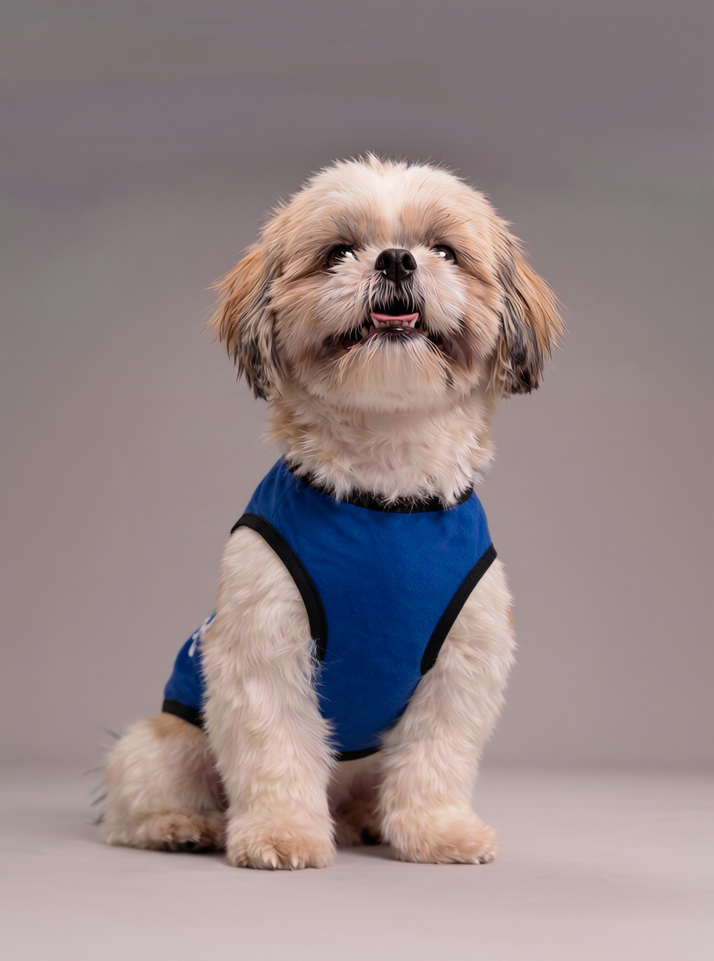 Careatic™ Born to Be Awesome Blue T-shirt for Shih Tzu - CAREATIC