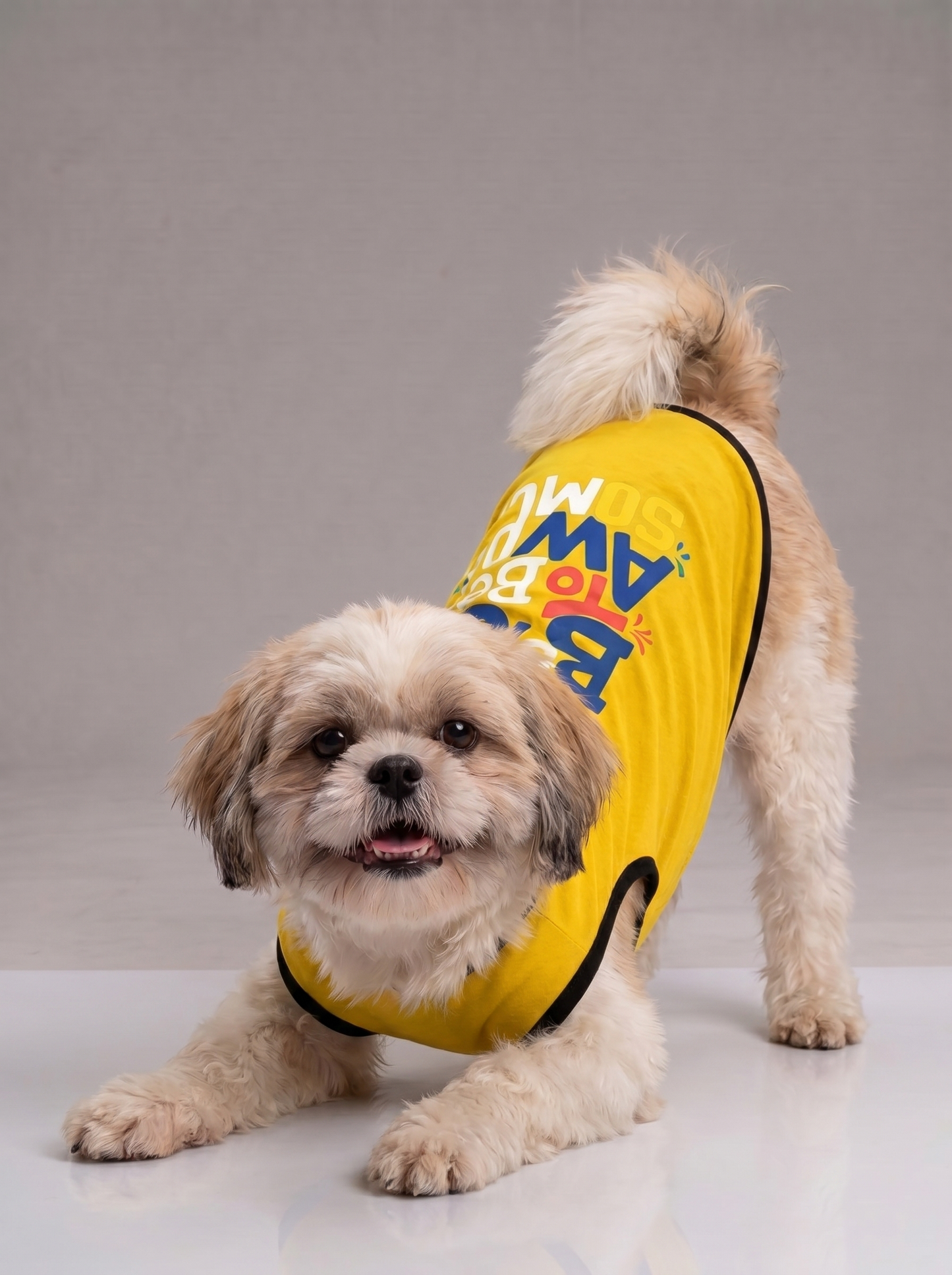 Careatic™ Born to Be Awesome Yellow T-shirt for Shih Tzu - CAREATIC