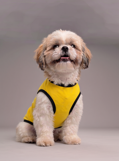 Careatic™ Born to Be Awesome Yellow T-shirt for Shih Tzu - CAREATIC