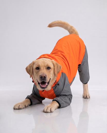 Careatic™ TrailGuard Duo Jumpsuit Raincoat for  Labrador Retriever - CAREATIC