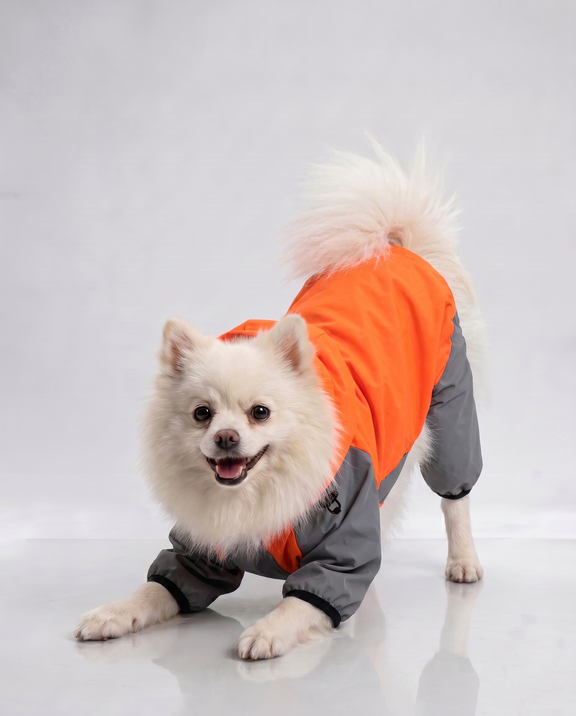Careatic™ TrailGuard Duo Jumpsuit Raincoat for Pomeranian - CAREATIC