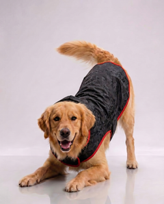 Careatic™ Black Army Sleeveless Dog Raincoat for Golden Retriever