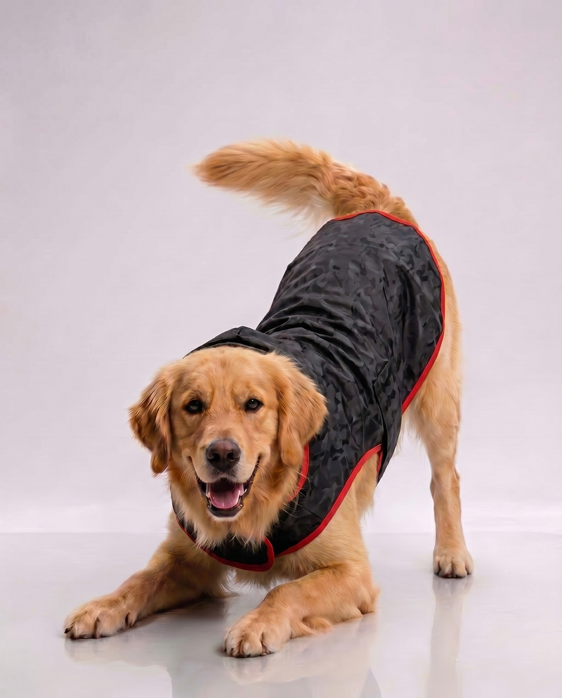 Careatic™ Black Army Sleeveless Dog Raincoat for Golden Retriever