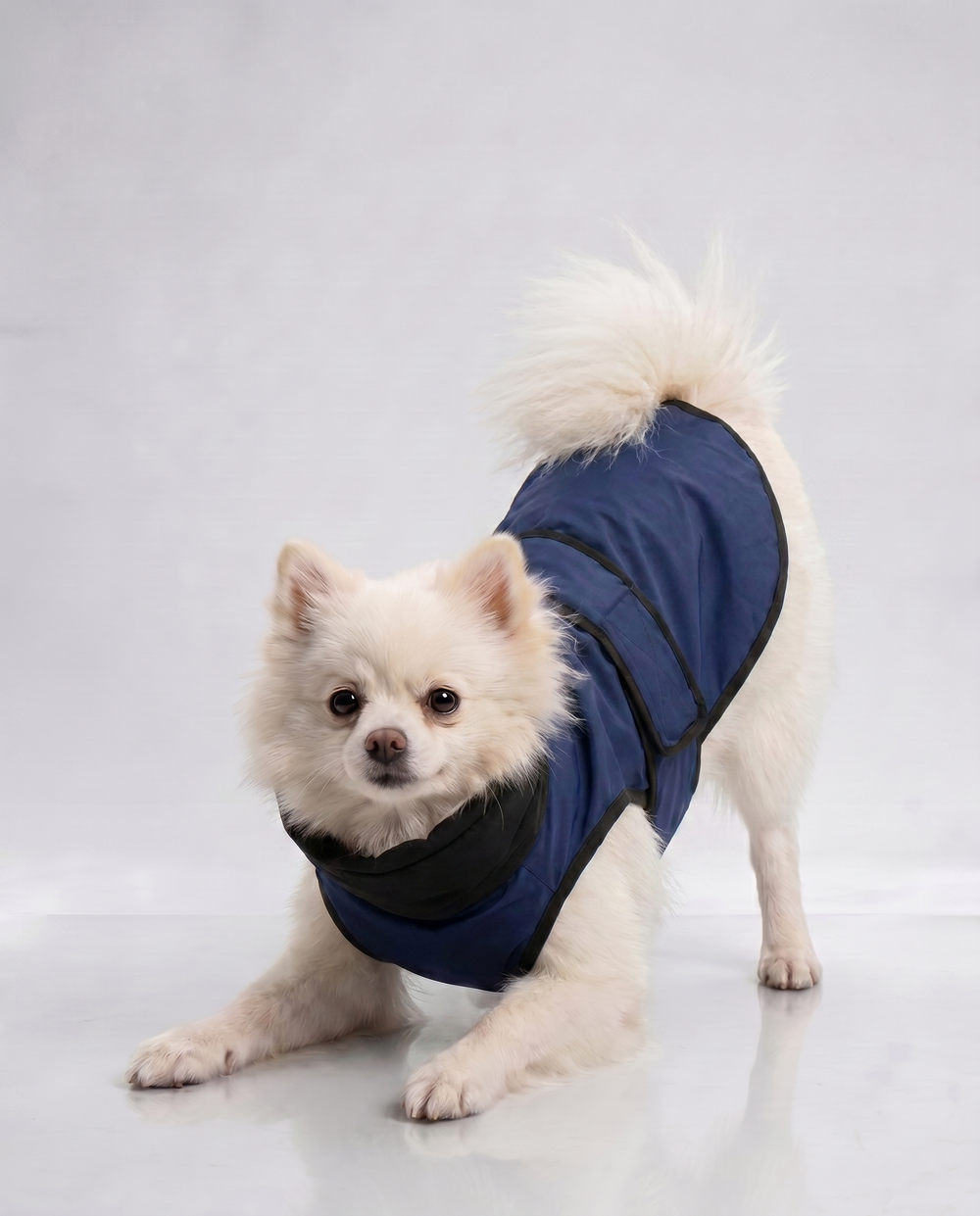 Careatic™ RainFlex Lite Sleeveless Raincoat for Pomeranian - CAREATIC
