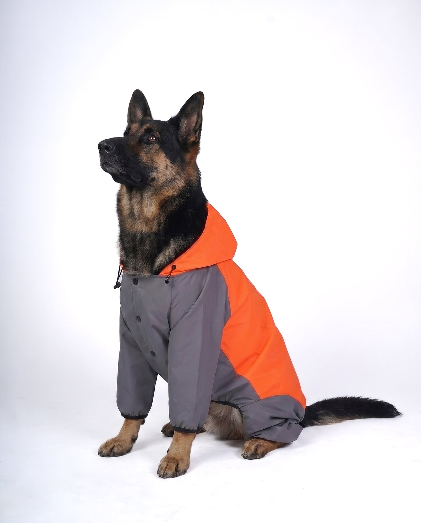 Careatic™ TrailGuard Duo Jumpsuit Raincoat for German Shepherd