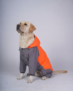 Careatic™ Chestguard Duo Jumpsuit Dog Raincoat for Labrador Retriever