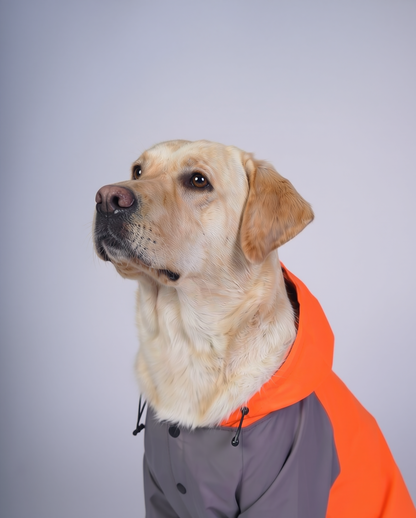 Careatic™ TrailGuard Duo Jumpsuit Raincoat for  Labrador Retriever