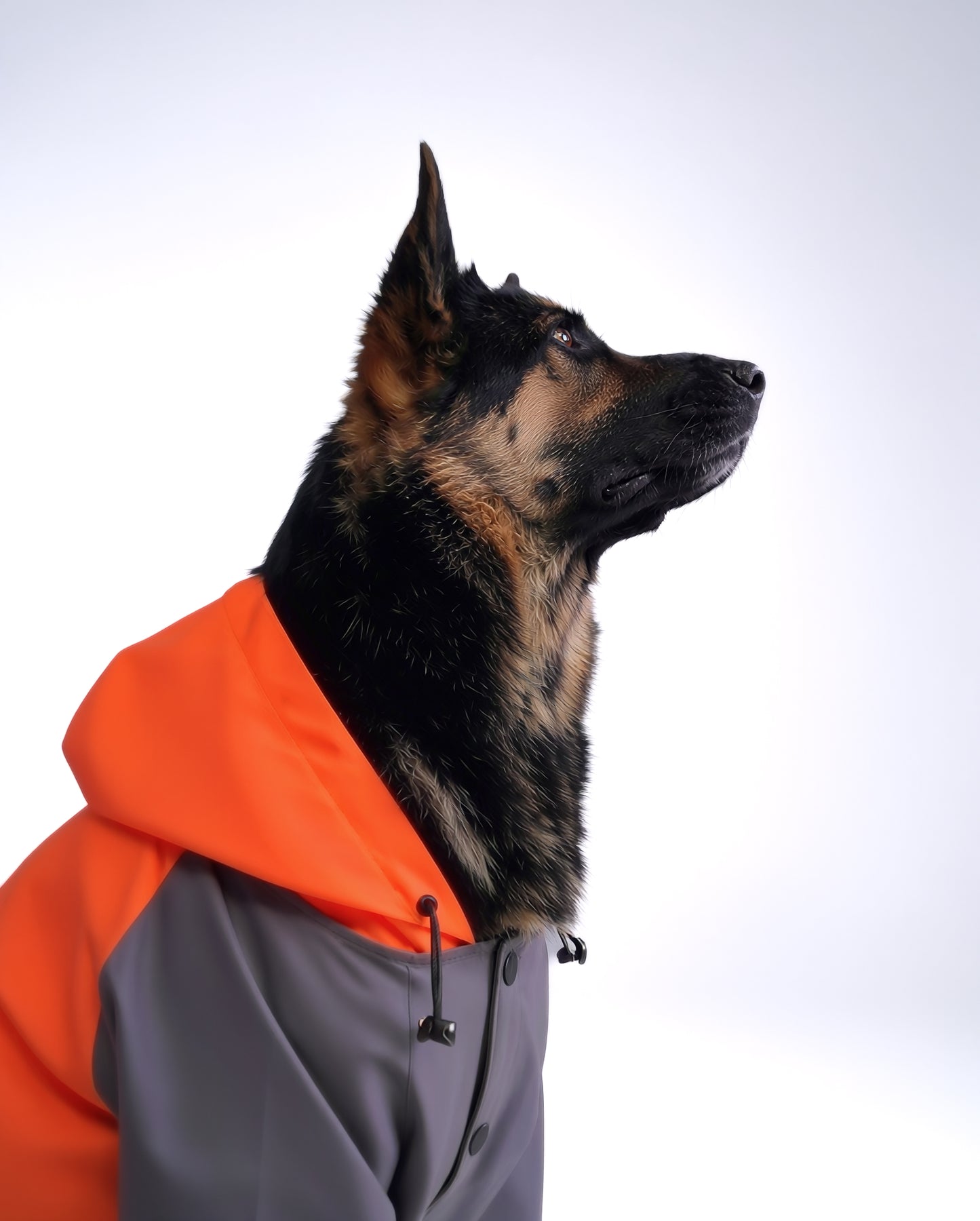 Careatic™ TrailGuard Duo Jumpsuit Raincoat for German Shepherd