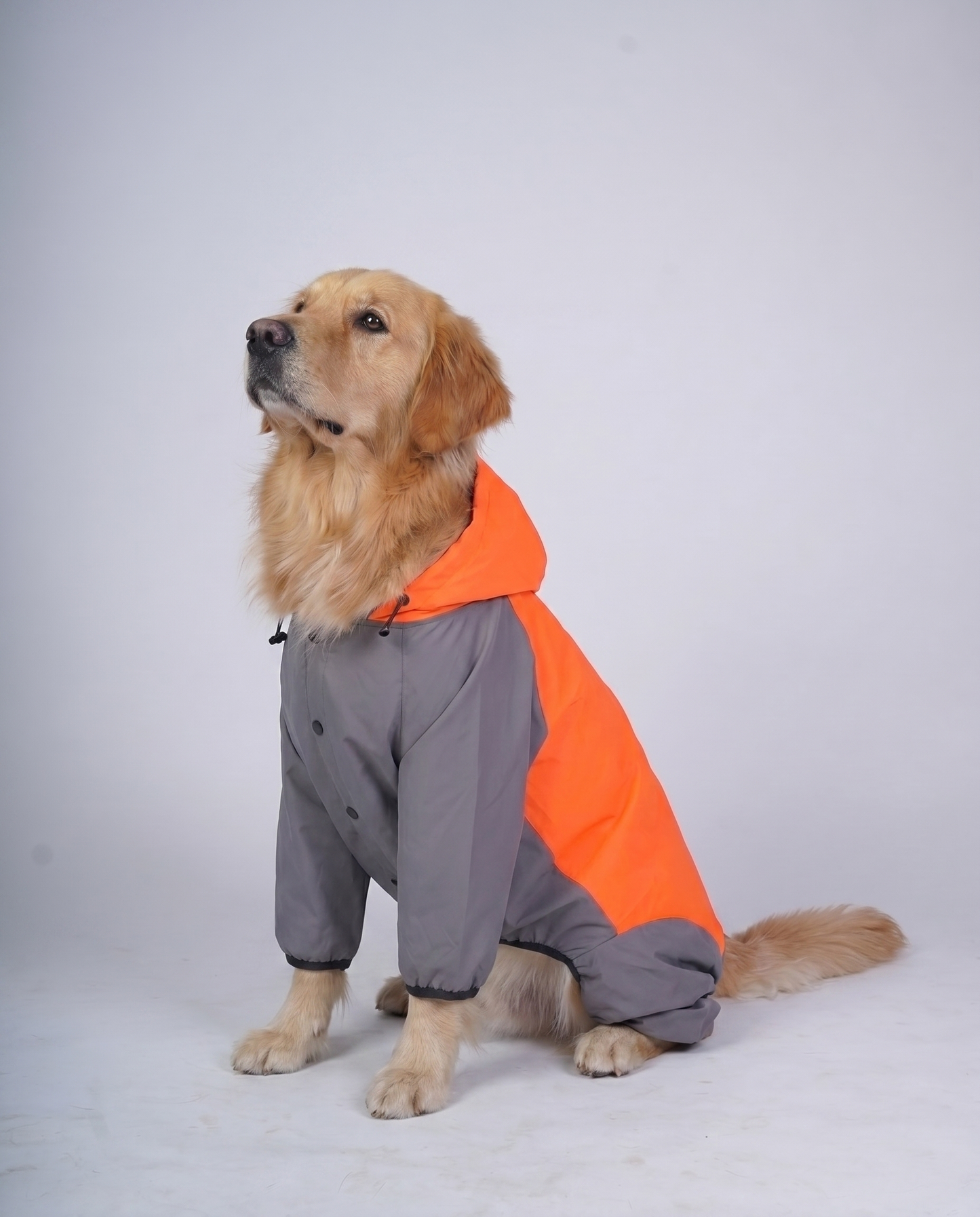 Careatic™ TrailGuard Duo Jumpsuit Raincoat for Golden Retriever