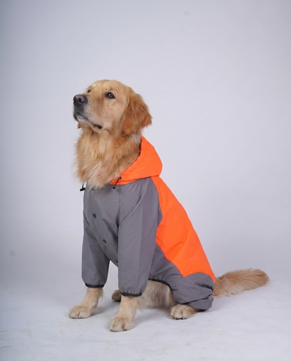 Careatic™ TrailGuard Duo Jumpsuit Raincoat for Golden Retriever
