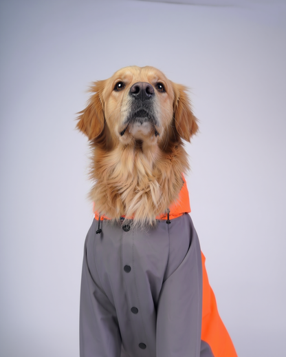 Careatic™ TrailGuard Duo Jumpsuit Raincoat for Golden Retriever