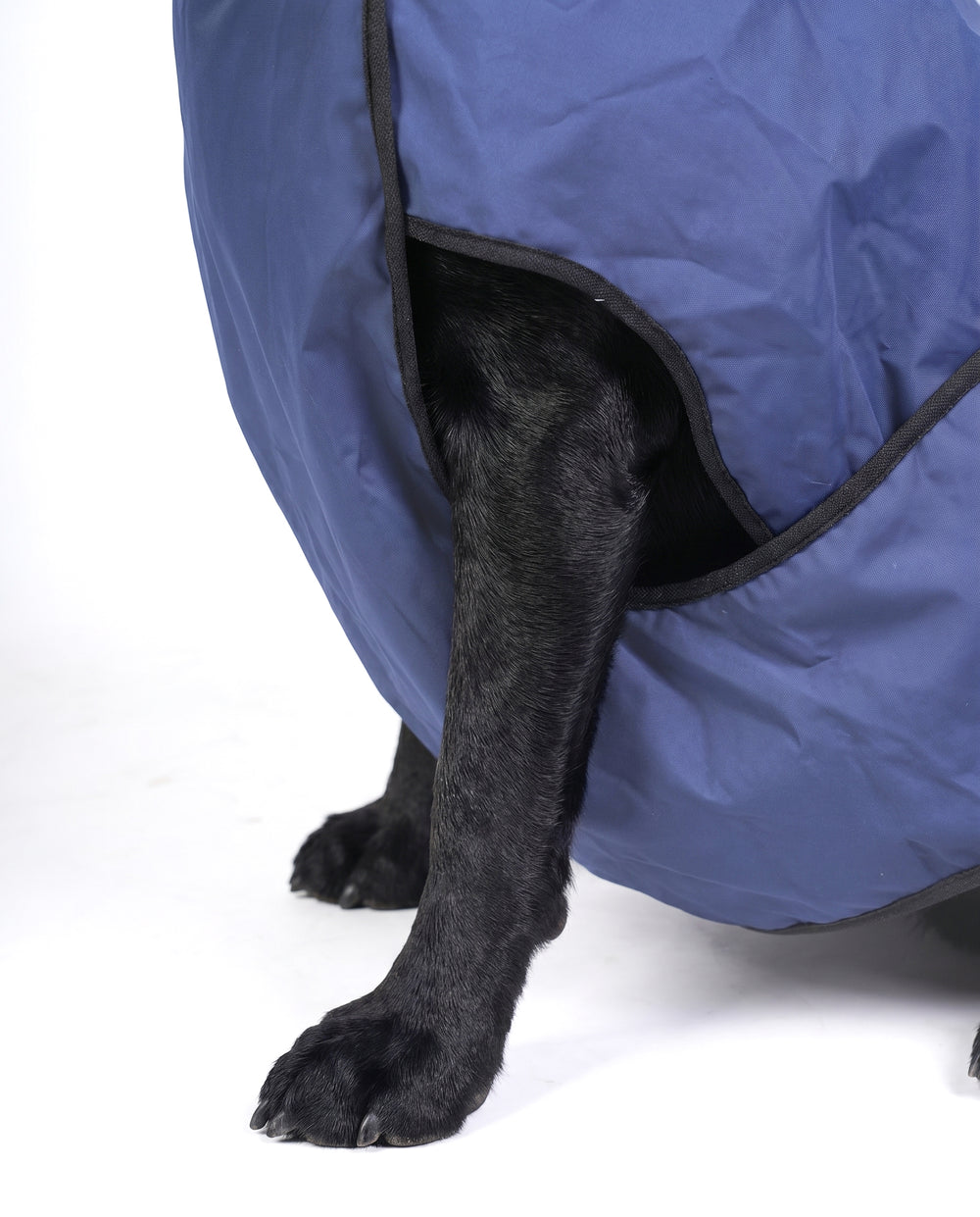 Careatic™ RainFlex Lite Sleeveless Dog Raincoat for Labrador Retriever
