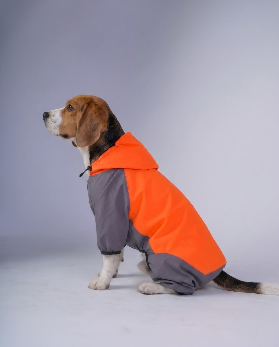 Careatic™ Chestguard Duo Jumpsuit Dog Raincoat for Beagle