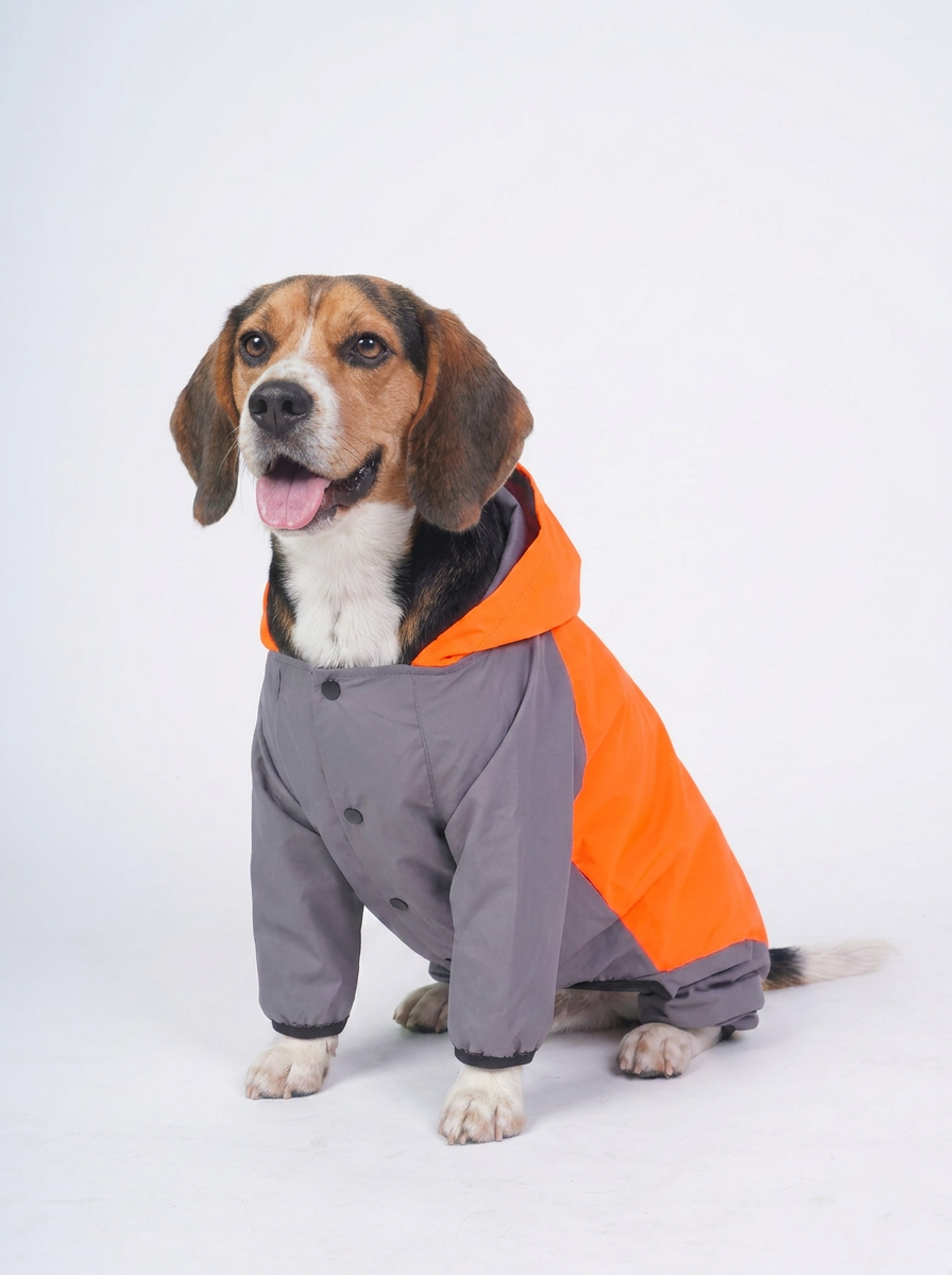 Careatic™ Chestguard Duo Jumpsuit Dog Raincoat for Beagle