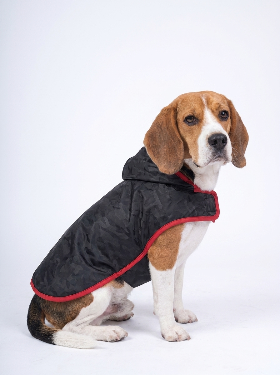 Beagle wearing the Careatic Black Army waterproof dog raincoat - side view