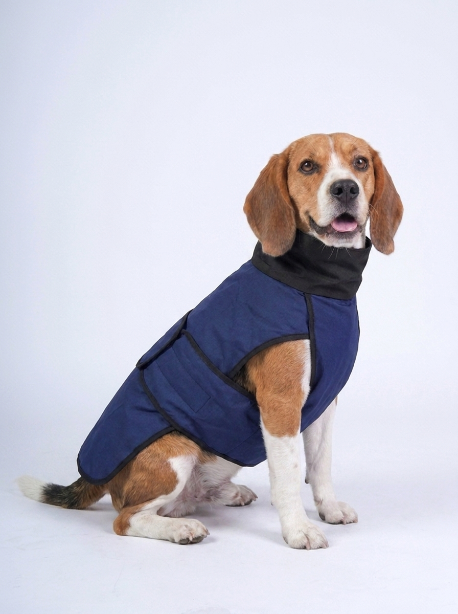 Beagle wearing the Careatic RainFlex Lite waterproof dog raincoat - side view