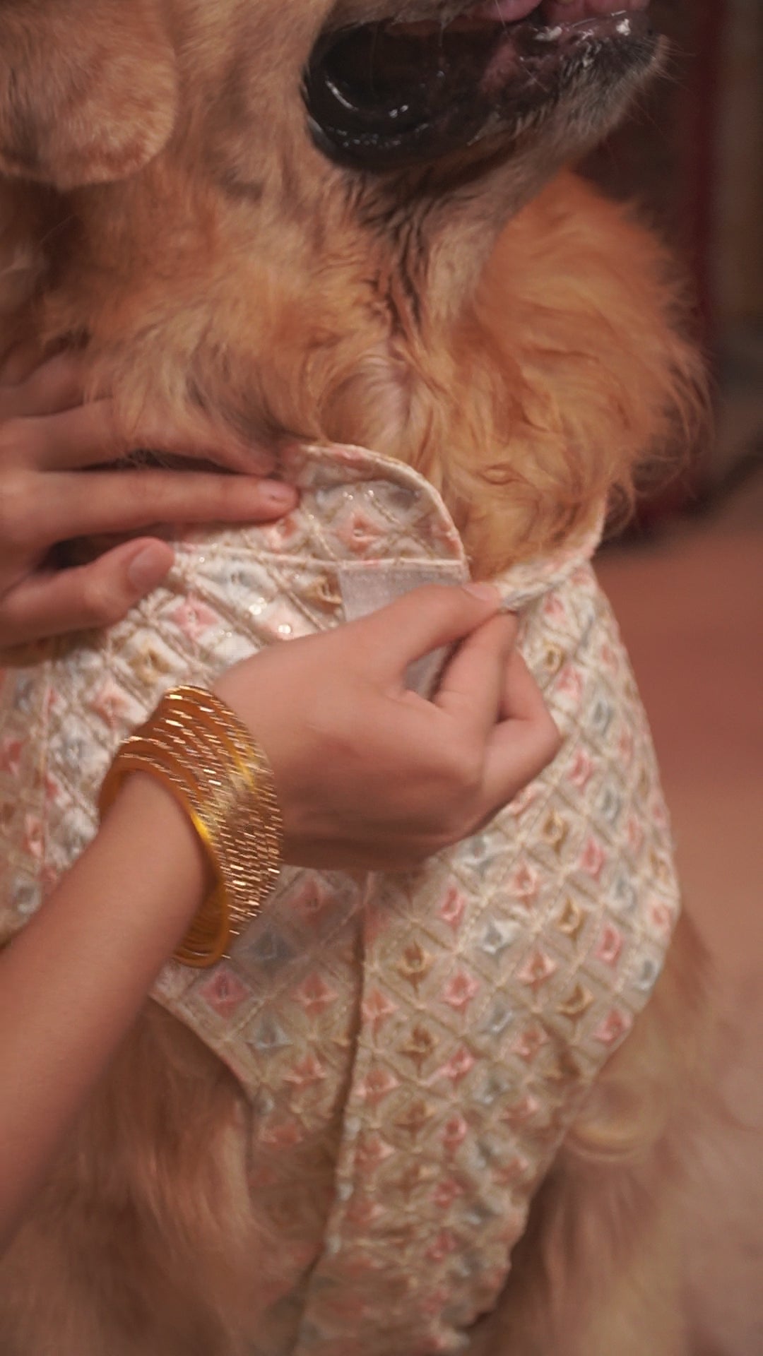 Intricate Pastel Embroidery Dog Kurta, up close