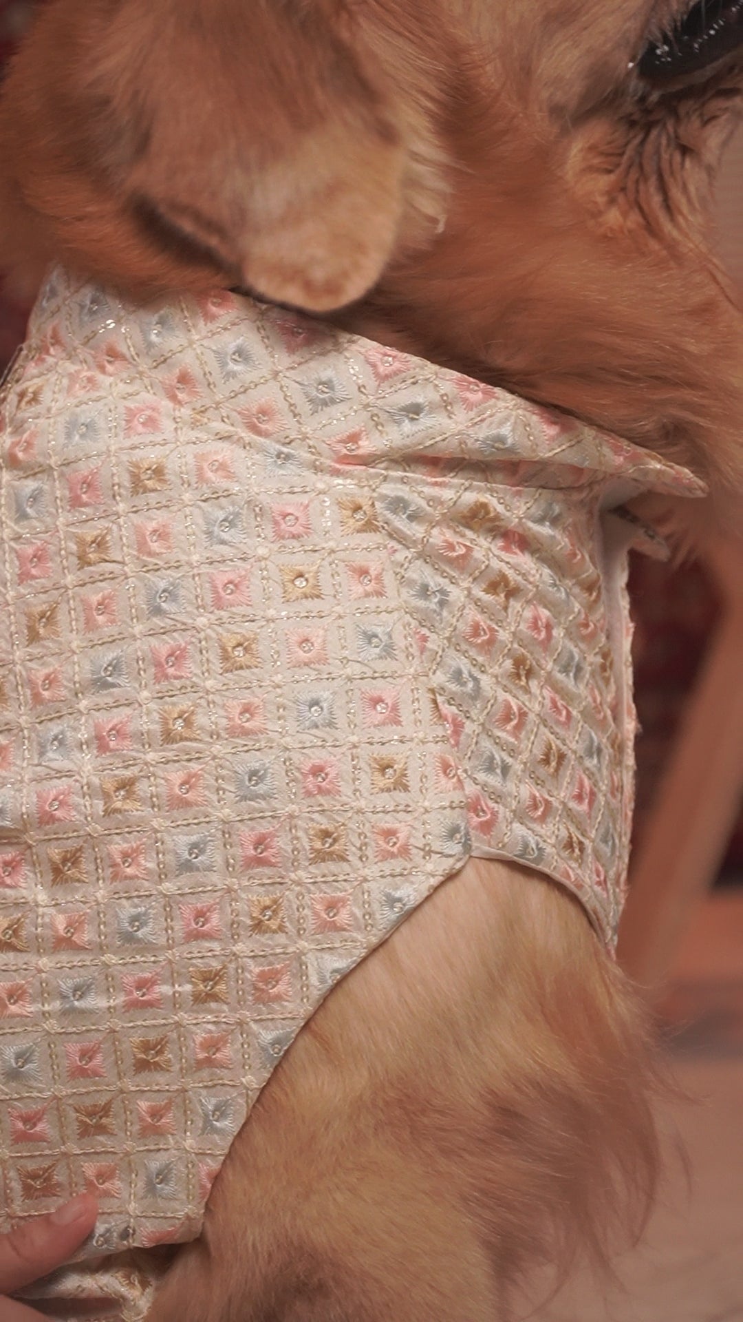 Intricate Pastel Embroidery Dog Kurta, up close