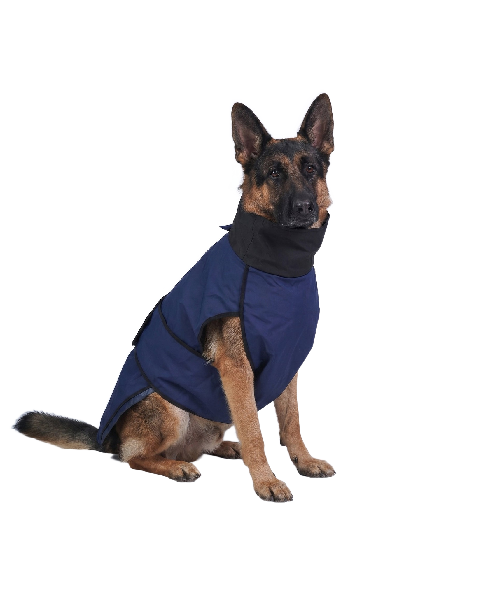 German Shepherd dog raincoat - Careatic