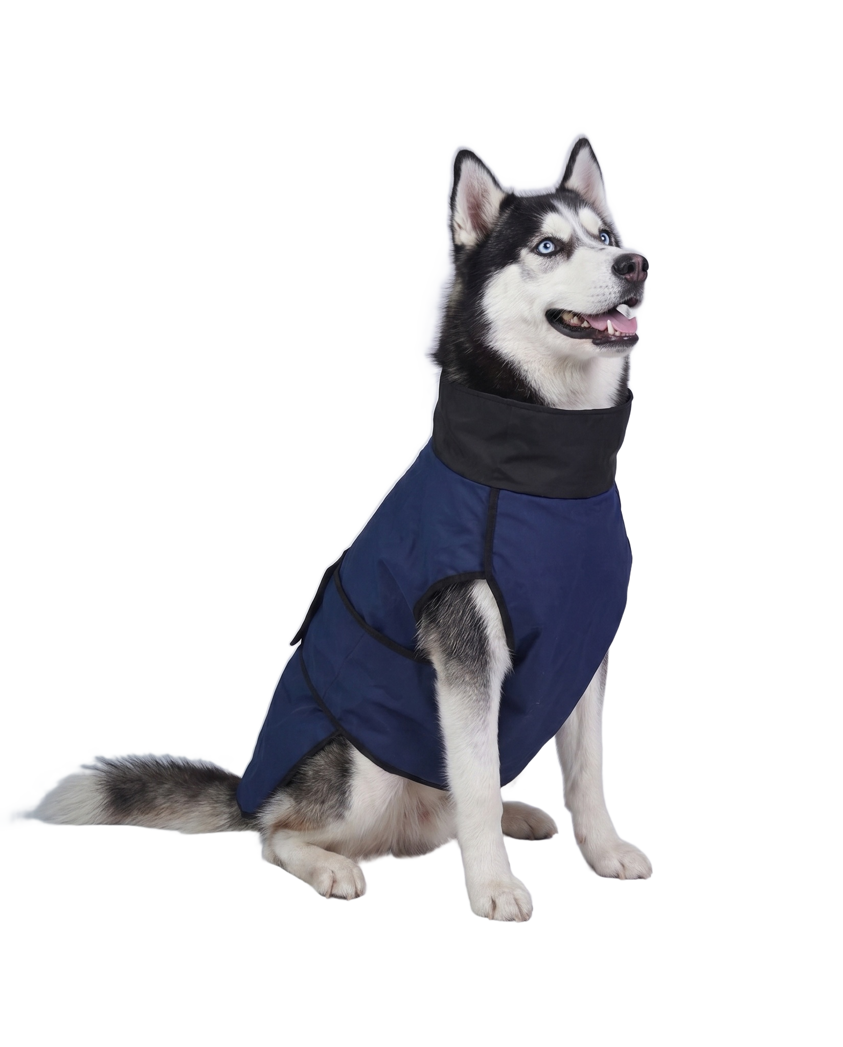Siberian Husky dog raincoat - Careatic