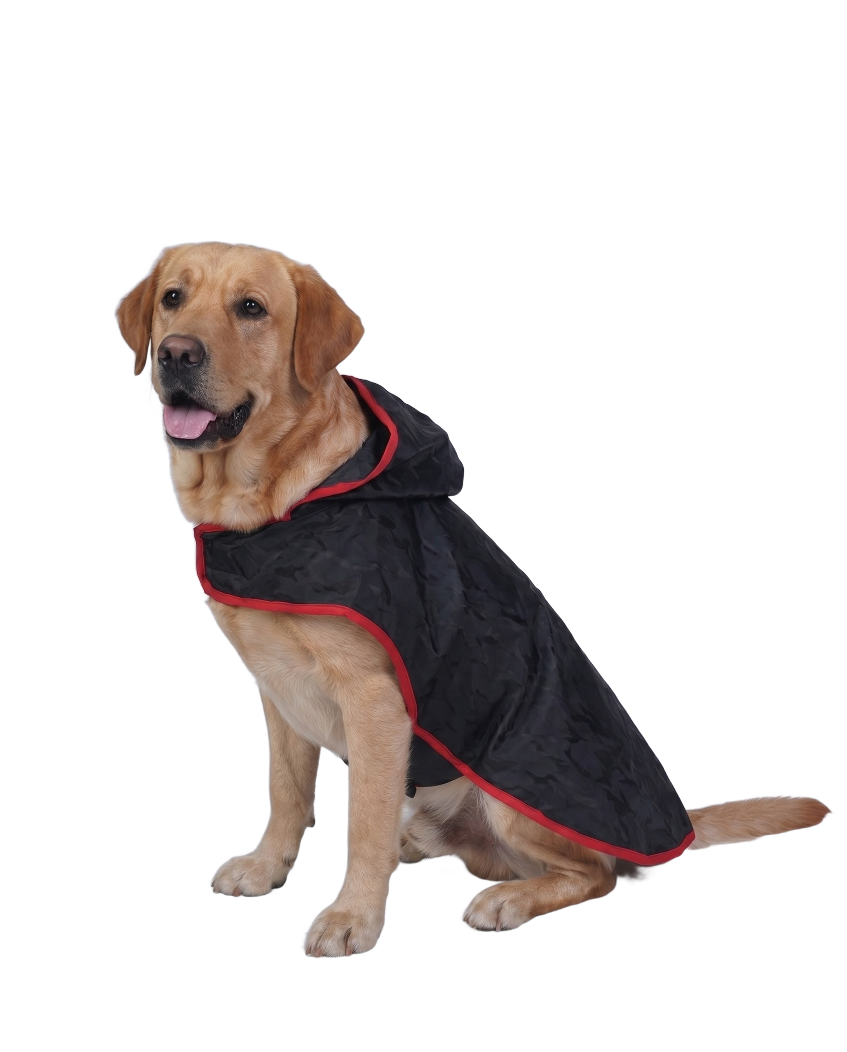 Labrador Retriever dog raincoat - Careatic