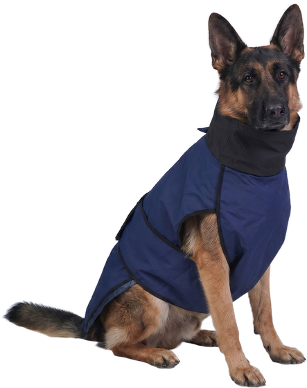 German Shepherd in a Careatic raincoat