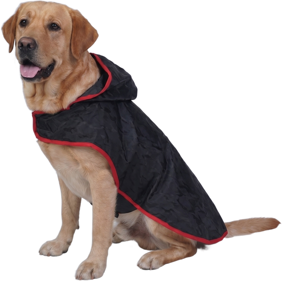 Labrador in a Careatic raincoat