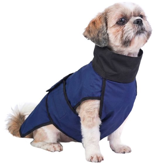 Shih Tzu in a Careatic raincoat